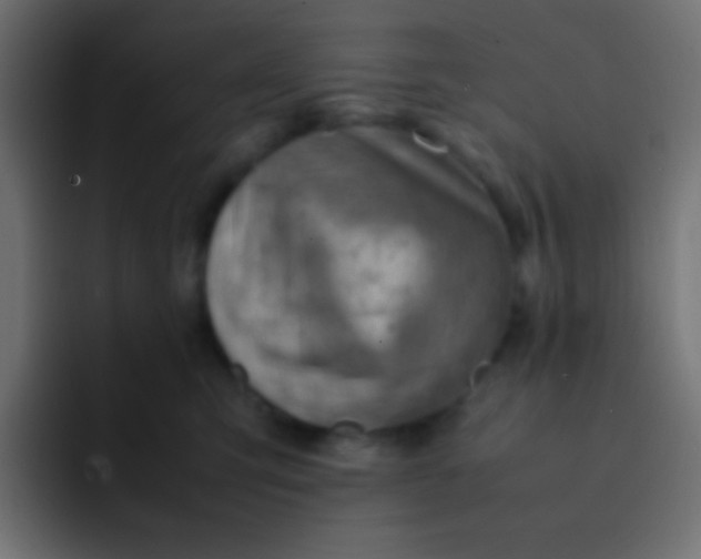 X0000092070423200710031122