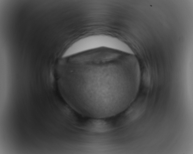 X0000092070424200710031122