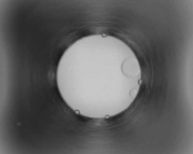 X0000092070427200710031122