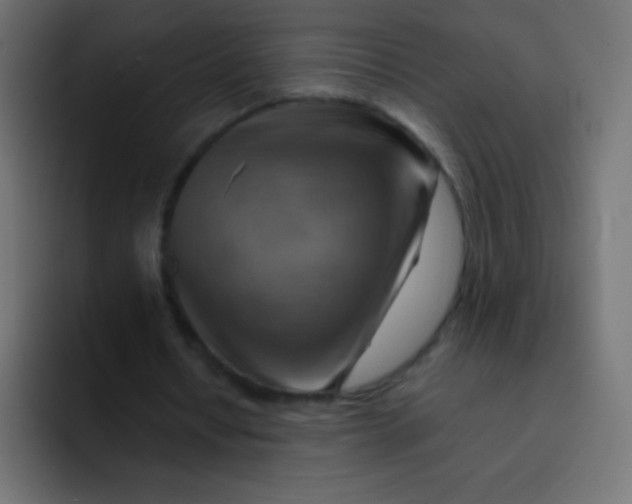 X0000092070434200710031121