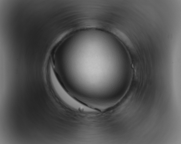 X0000092070436200710031121