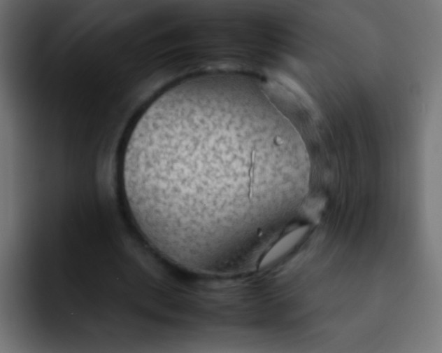 X0000092070439200710031121