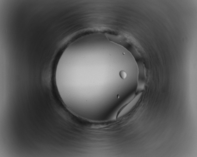X0000092070440200710031121