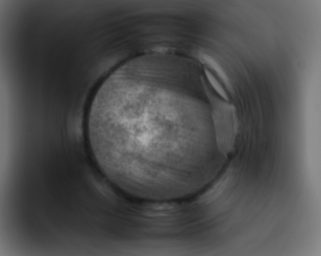 X0000092070443200710031121