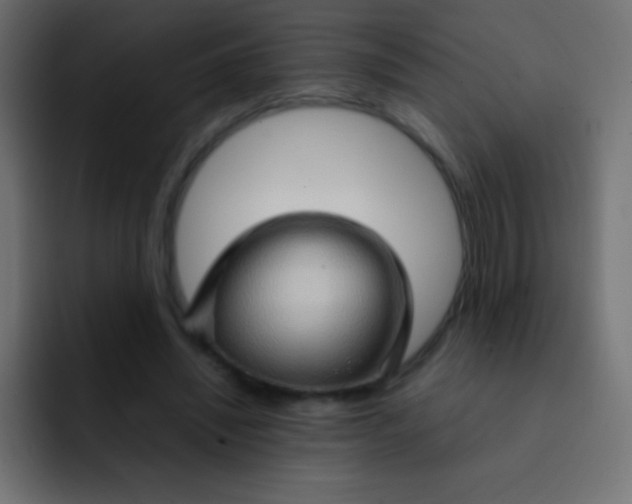X0000092070444200710031121