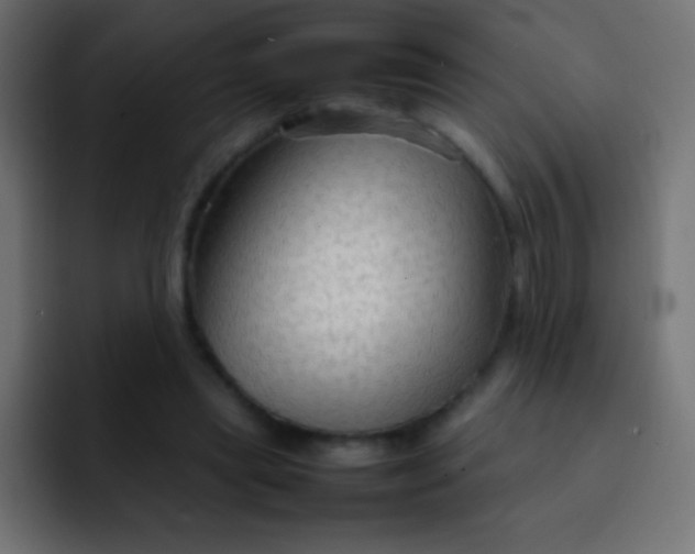 X0000092070445200710031121