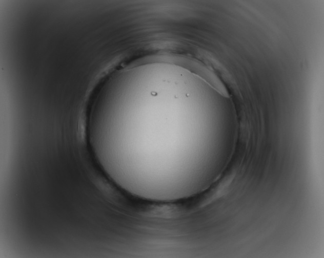 X0000092070446200710031121