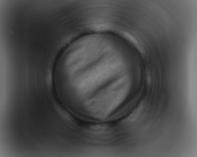 X0000092070447200710031121