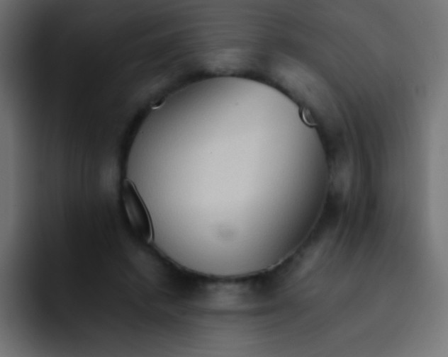 X0000092070448200710031121