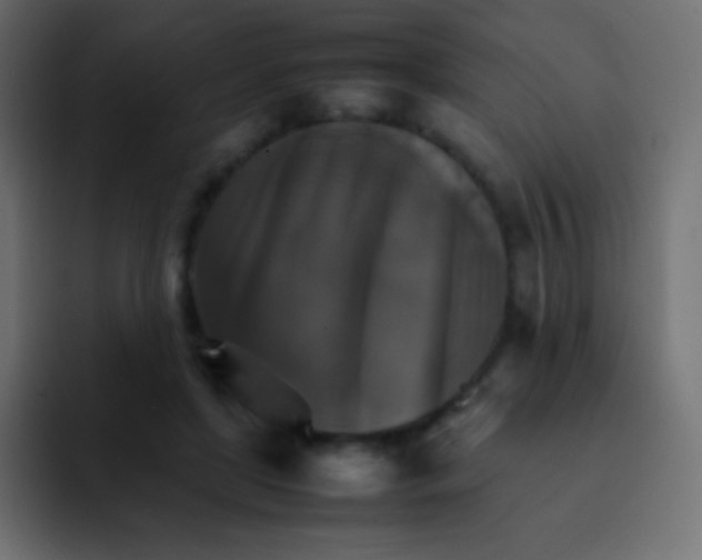 X0000092070451200710031121