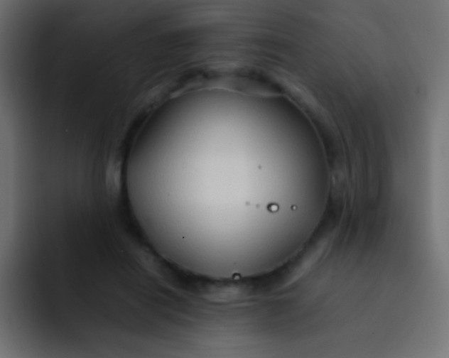 X0000092070454200710031121