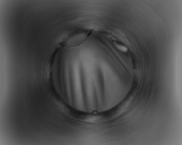 X0000092070458200710031121