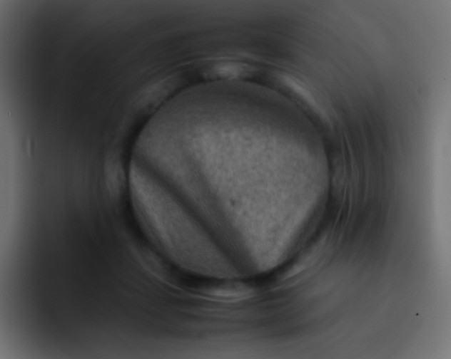 X0000092070459200710031121