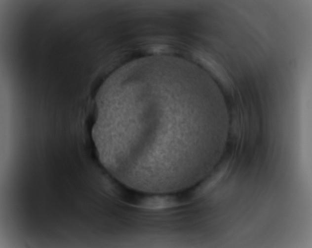 X0000092070461200710031121