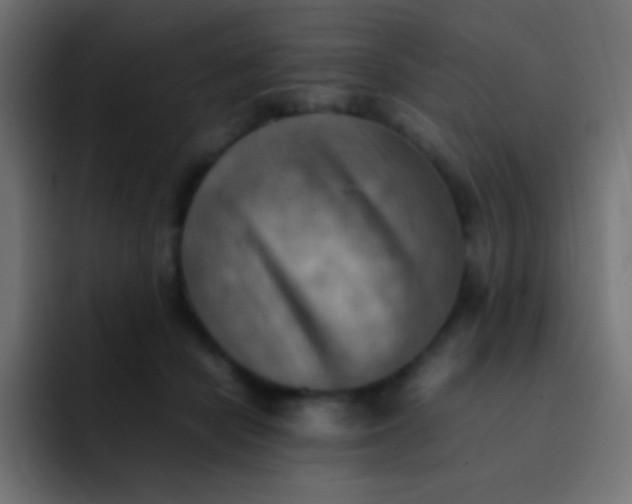 X0000092070462200710031121