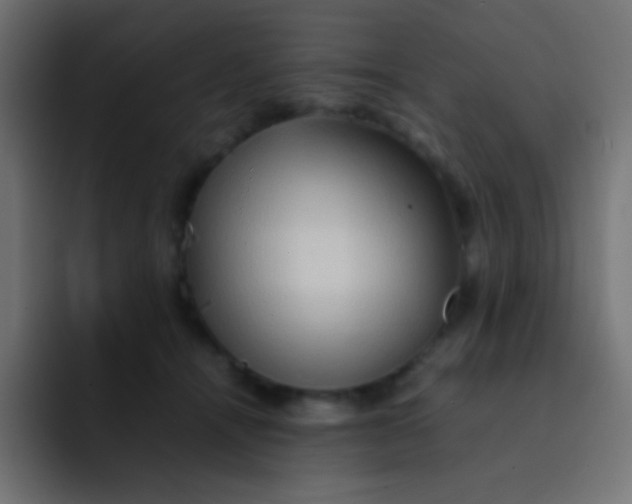 X0000092070464200710031121