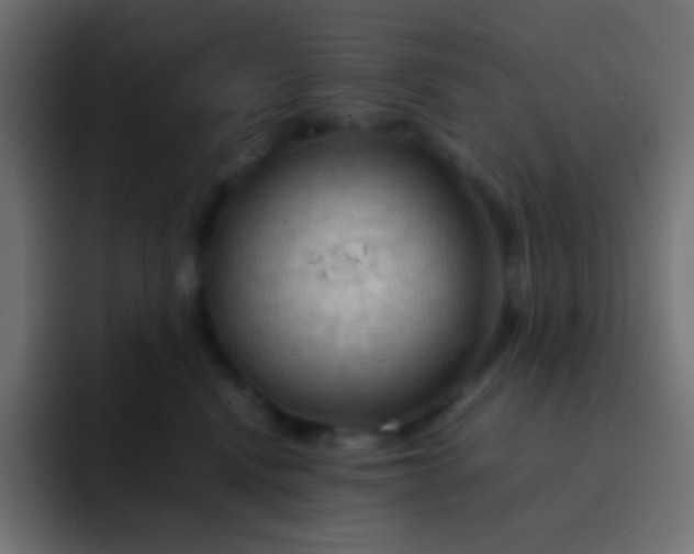 X0000092070472200710031122