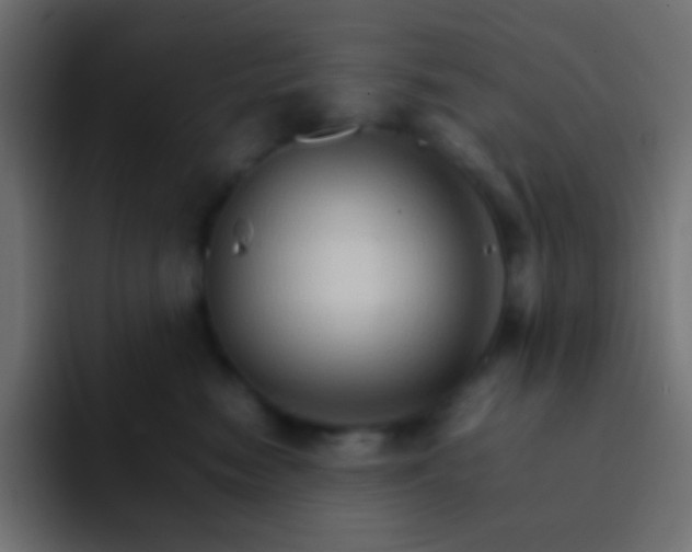 X0000092070474200710031122