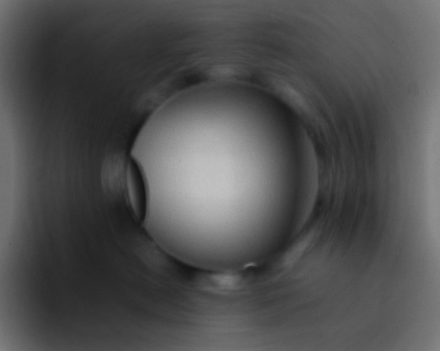 X0000092070478200710031122