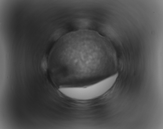 X0000092070479200710031122