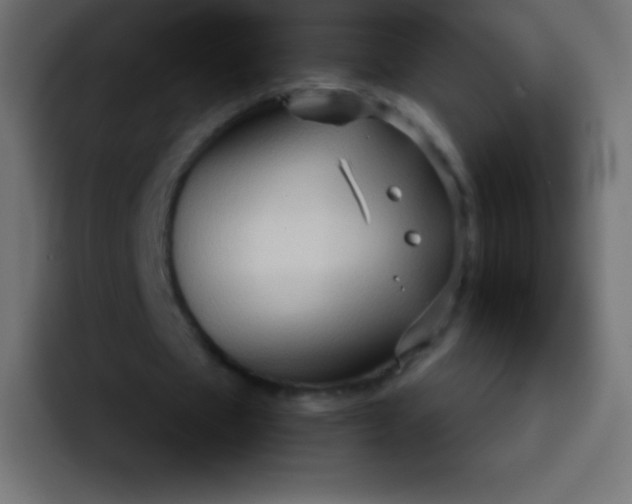 X0000092070481200710031121