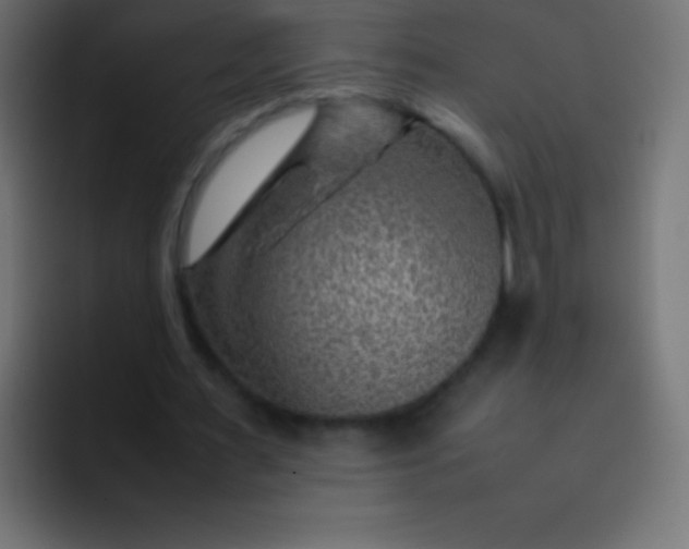 X0000092070483200710031121
