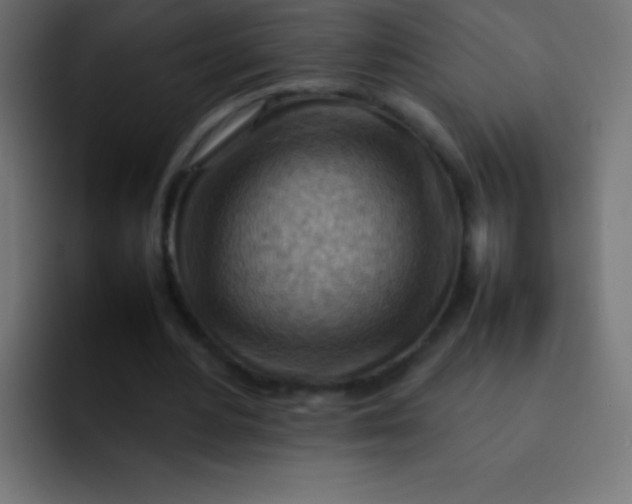 X0000092070484200710031121