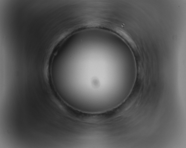 X0000092070485200710031121