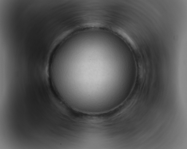 X0000092070486200710031121