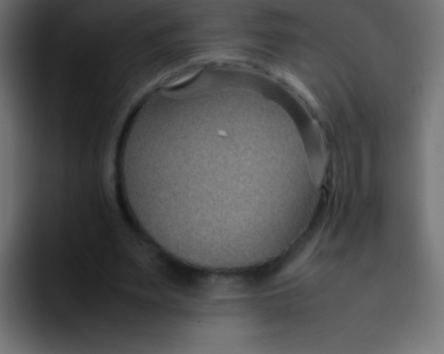 X0000092070487200710031121