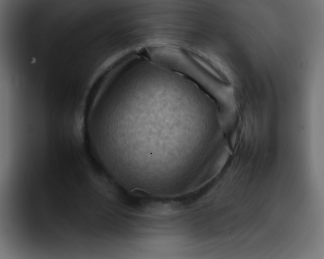 X0000092070488200710031121