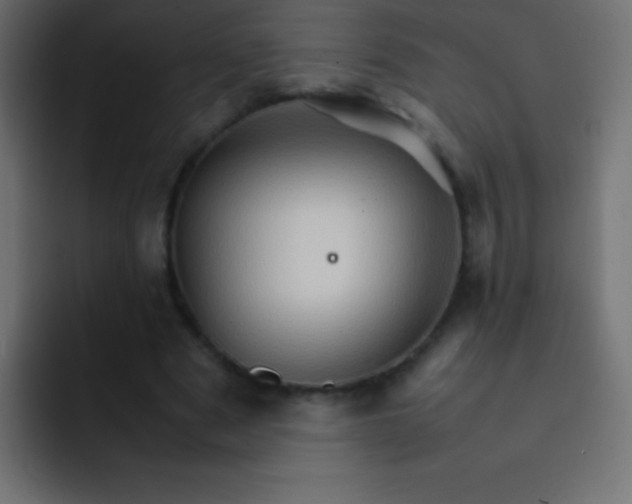X0000092070489200710031121