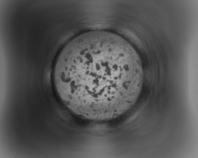 X0000092070491200710031121