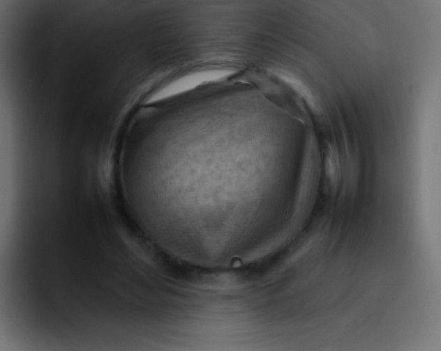 X0000092070492200710031121