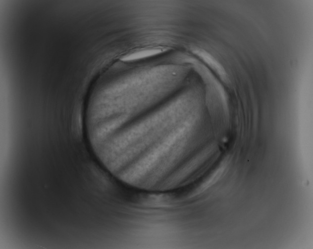X0000092070493200710031121