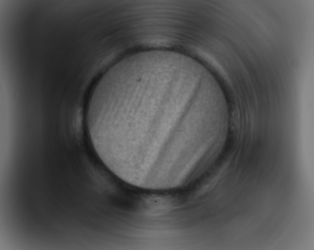 X0000092070494200710031121