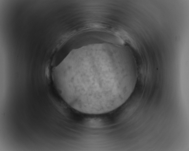 X0000092070500200710031121