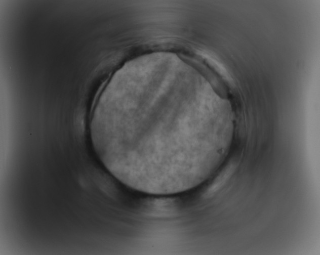 X0000092070501200710031121
