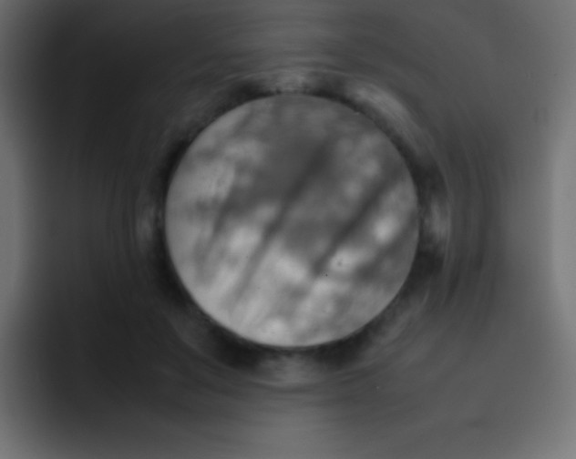 X0000092070503200710031121