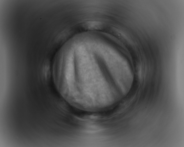 X0000092070506200710031121