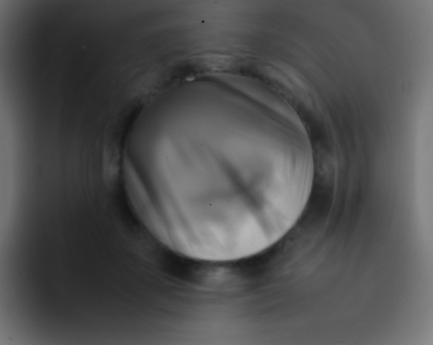 X0000092070507200710031121
