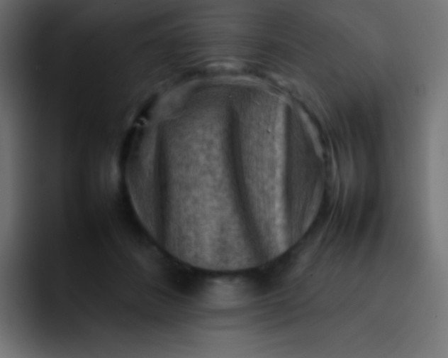 X0000092070508200710031121