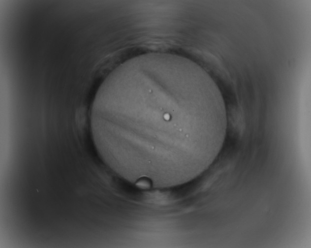 X0000092070511200710031121