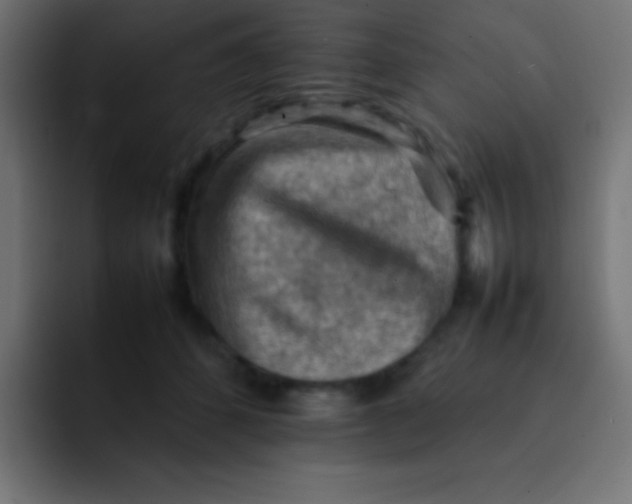 X0000092070512200710031121