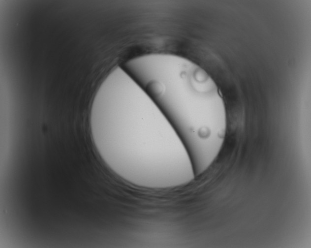 X0000092070515200710031121