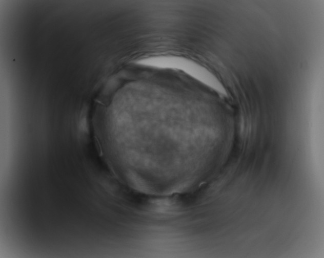 X0000092070516200710031121