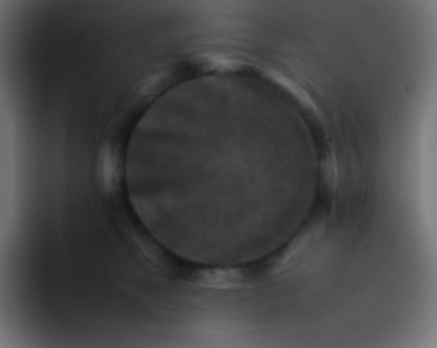 X0000092070517200710031121