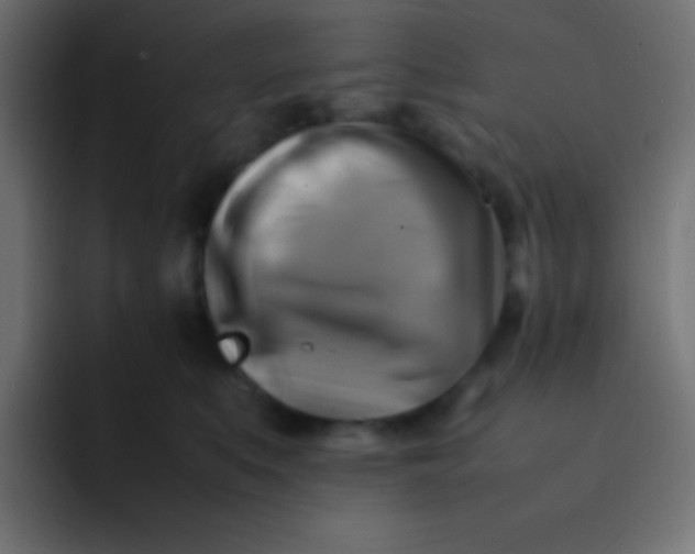 X0000092070519200710031121