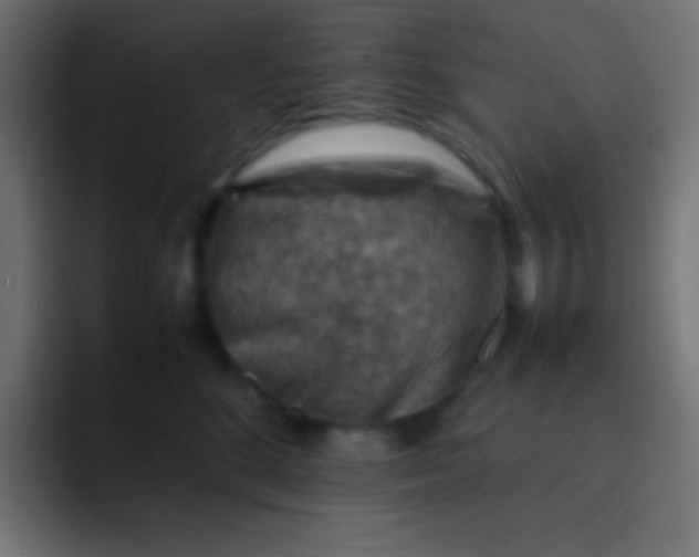 X0000092070520200710031121