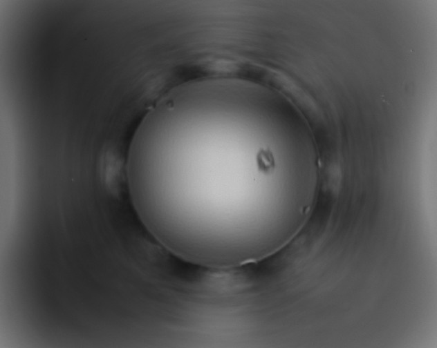 X0000092070521200710031121